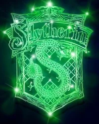 Slytherin gang