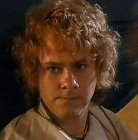 Meriadoc Brandybuck 