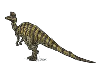 Jpog corythosaurus 