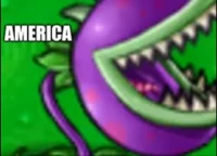 chomper pvz1 america