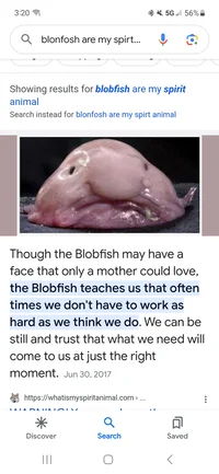 Blob fish