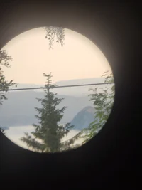 Curse word generator