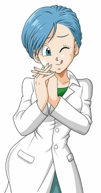 Bulma Briefs