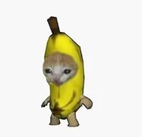 Gato banana