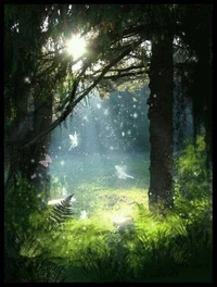 Fairies Forest -