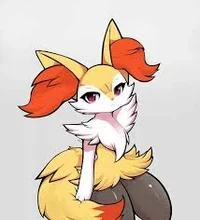 Upstet Evil Braixen