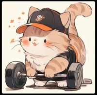 Gym cat