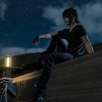 Noctis lucis caelum 