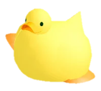 TDS-Fat ducky