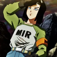 Android 17