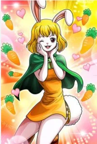 Carrot one piece 