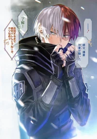 Shoto Todoroki 