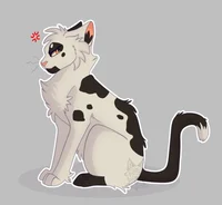 Swiftpaw 