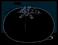 Fat Black Mega Absol