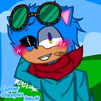 Carter The Hedgehog