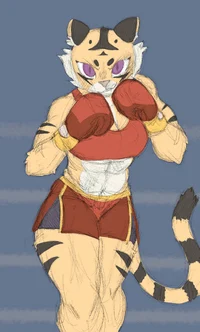 Tiger Boxer