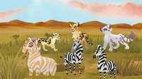 Life of a zebra