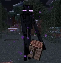 Soft Enderman