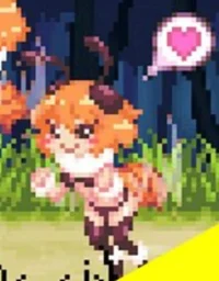 Bees from echidna wa