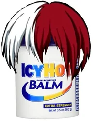 Shoto todoroki