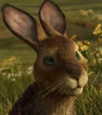 Hazel-Watership Down