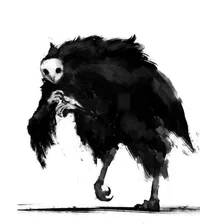 Owl Creature