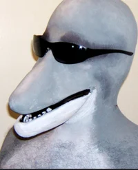 Dolphin man