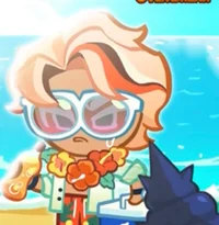 Langue De Chat Cooki