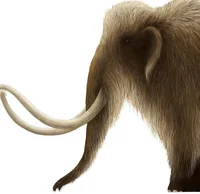 Mammoth Realistic