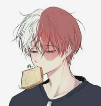 Shoto Todoroki 