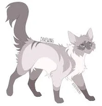 Dovewing 