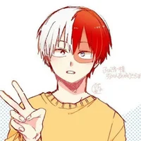 Shoto Todoroki