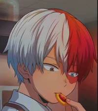Shoto Todoroki
