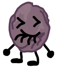 Raisin BFDI MINI