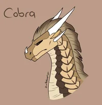 Cobra