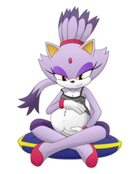 Blaze the Cat