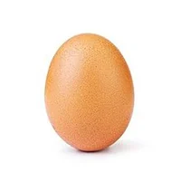 Famous Egg