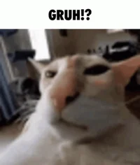 Gruh cat meme