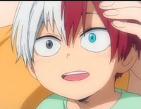 Shoto Todoroki