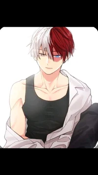 Todoroki 
