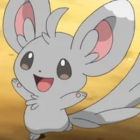 Minccino