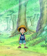 luffy turn to a kid