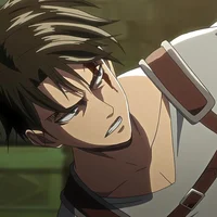 Levi Ackerman 