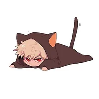 Cat Bakugou Katsuki