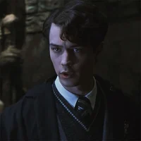 Tom Riddle Hogwarts 