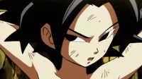 Caulifla
