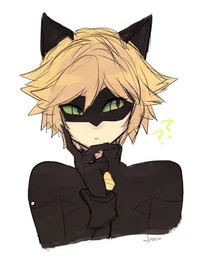 Cat noir