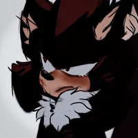 Shadow The Hedgehog