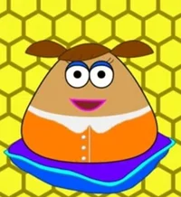 Cita Pou