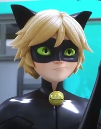Cat noir 